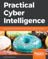 Practical Cyber Intelligence.pdf